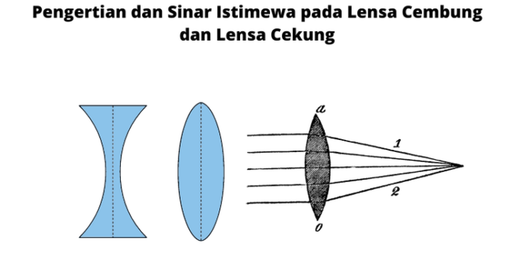 Lensa Cembung Dan Cekung Memahami Perbedaan Dan Fungsinya Yok Belajar